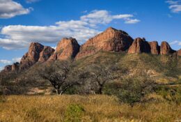 Namibia_April_2025 (16/79)